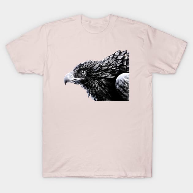 Fly Like an Eagle T-Shirt by SeanKalleyArt